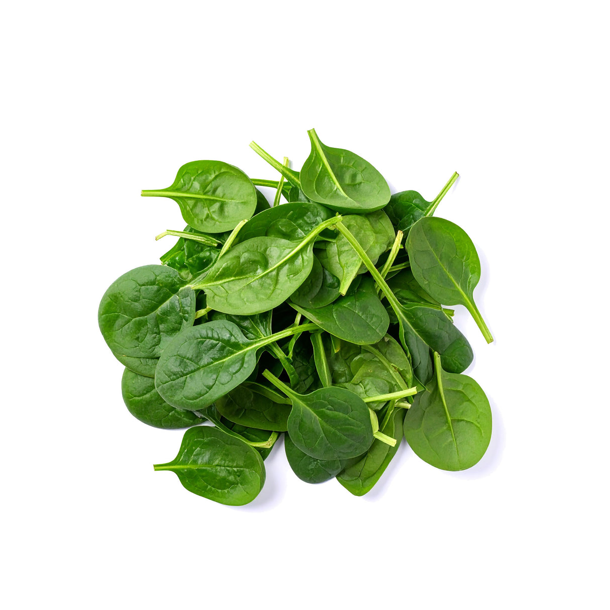 Baby Spinach Punnet 100g