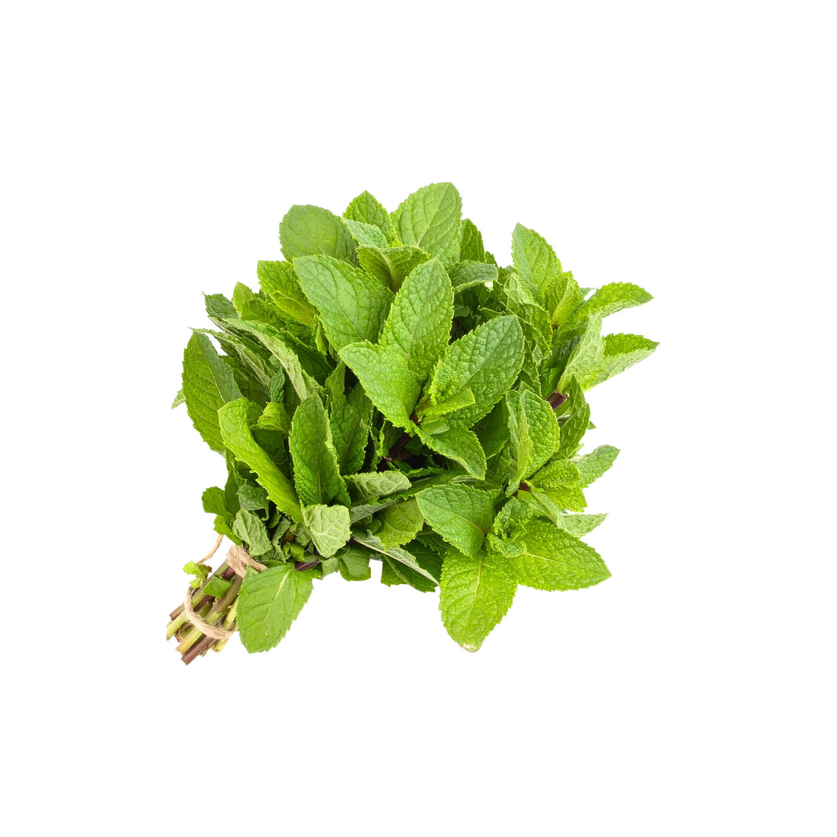 Fresh Mint  that you can buy online and have delivered to your door by The Fruit Cart Sydney