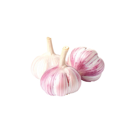 Fresh Garlic South American  that you can buy online and have delivered to your door by The Fruit Cart Sydney
