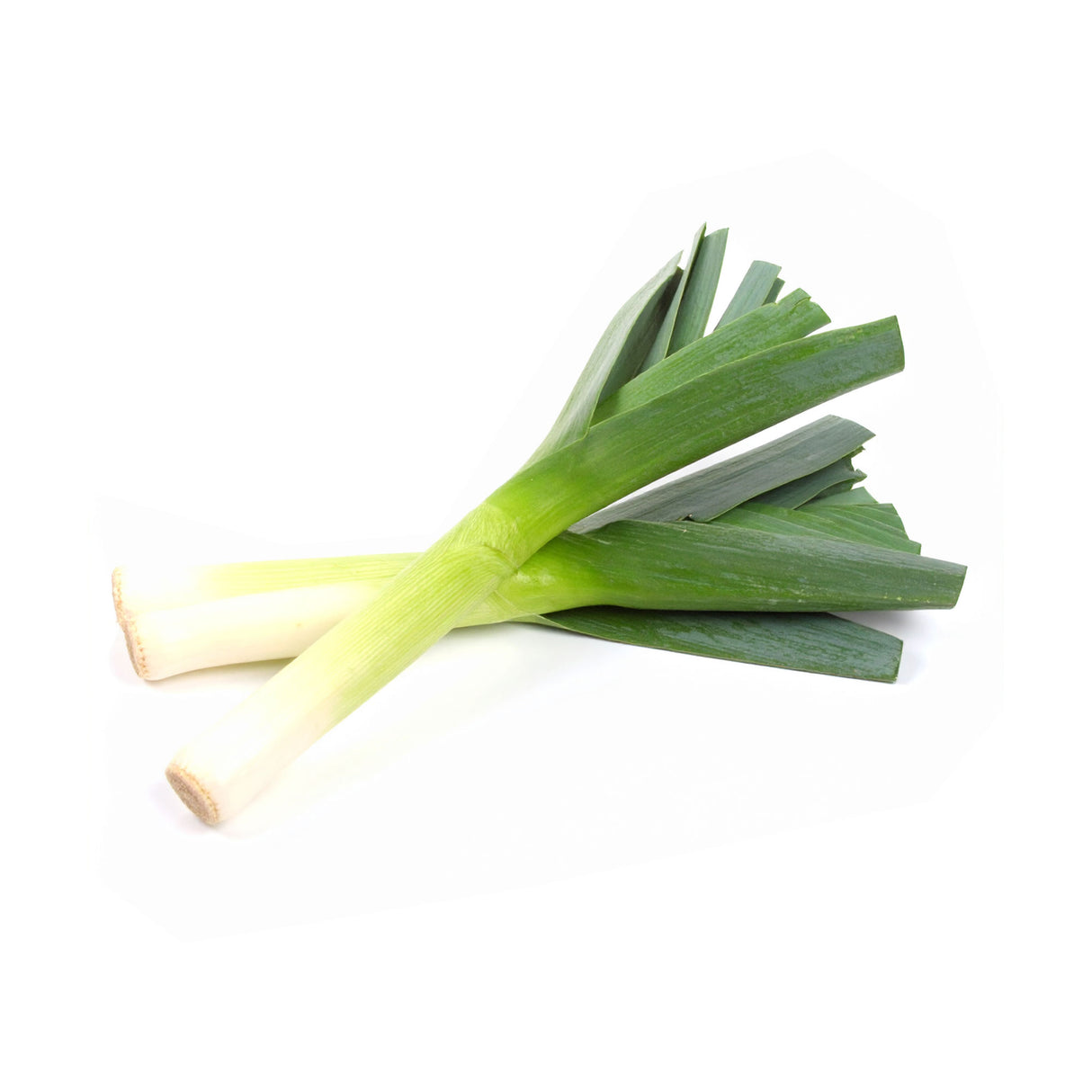 Trimmed Leek 3pk