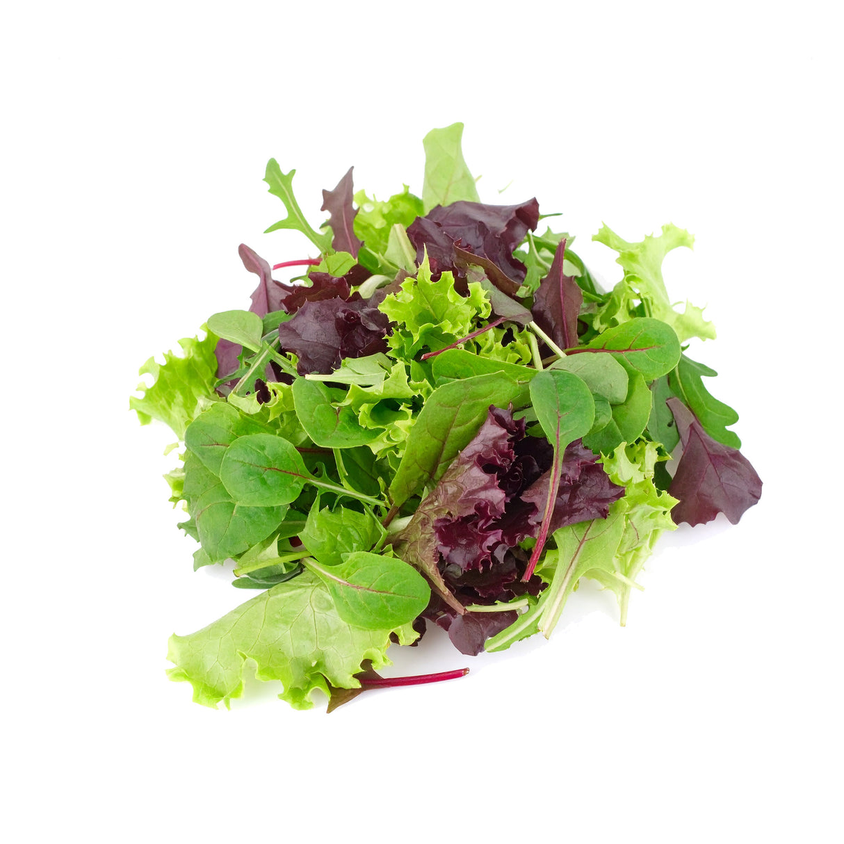 Mixed Salad Leaves Punnet 100g