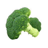 Green broccoli head