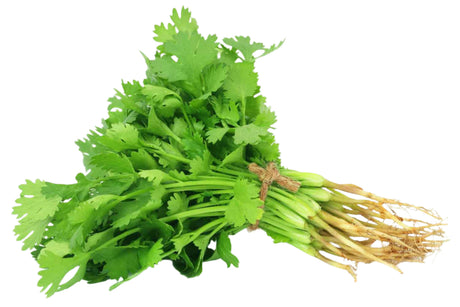 Fresh Corriander that you can buy online and have delivered to your door by The Fruit Cart Sydney