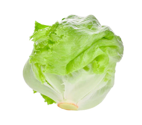Fresh Iceberg Lettuce that you can buy online and have delivered to your door by The Fruit Cart Sydney